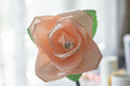 Peach Rose Pen